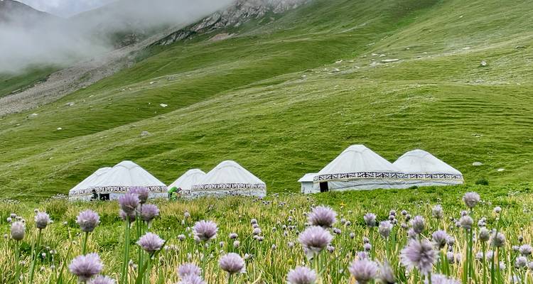 Rangée de yourtes nomades blanches installées dans un pré alpin verdoyant et luxuriant parsemé de fleurs sauvages.