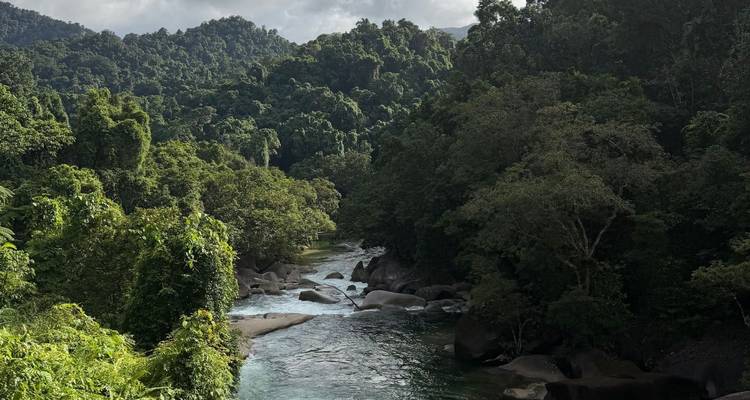 Lush rainforest river winding through dense green jungle with smooth boulders and dappled light.