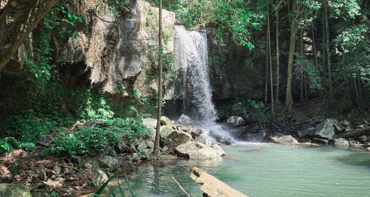 Small rainforest waterfall cascading into a green swimming hole surrounded by rocks