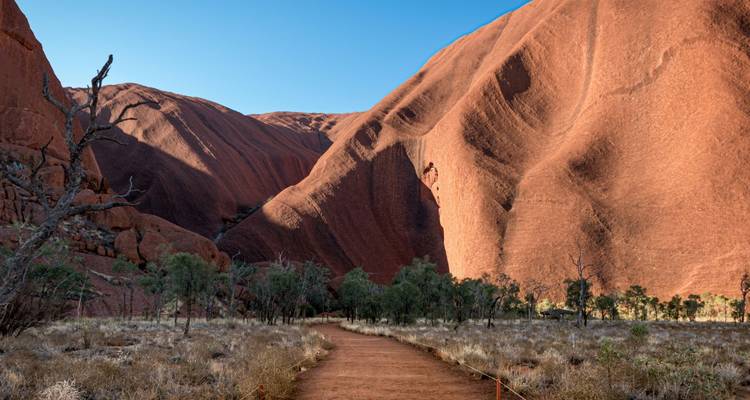 Rood zandpad leidt naar de enorme zandstenen muren van Uluru onder een heldere blauwe hemel.