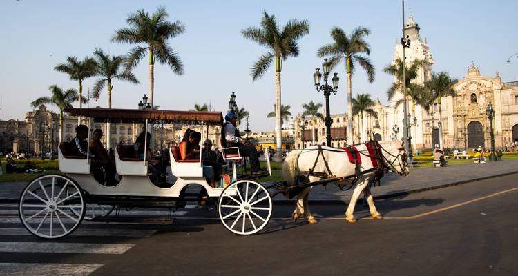 Un cheval blanc tire une élégante calèche devant la cathédrale de Lima et les palmiers de la place principale.