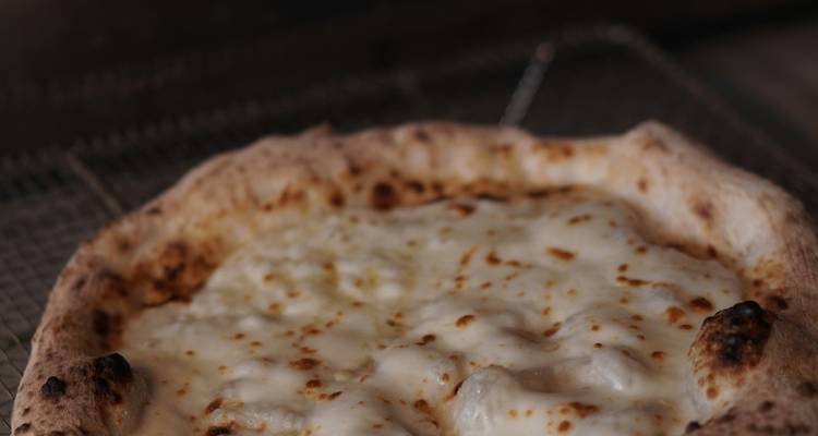 Close-up of freshly baked cheesy pizza resting on a rack.