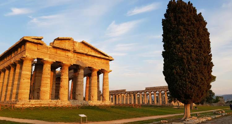 Ancient stone temple with towering columns stands bathed in warm evening light at Paestum.