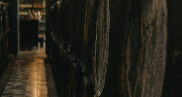 Dimly lit row of wooden wine barrels in an aging cellar.
