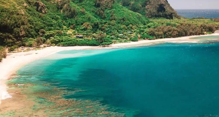 Vue aérienne d'une plage isolée aux sables blancs bordée par une forêt d'émeraude et des eaux turquoise brillantes.