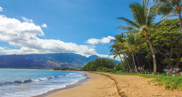 Plage de sable doré bordée de palmiers et de vagues douces, avec des montagnes verdoyantes au loin.