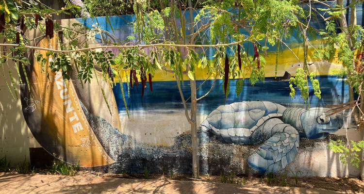 Colorful wall mural in Mazunte depicting a sea turtle and coastal scenery shaded by hanging plants