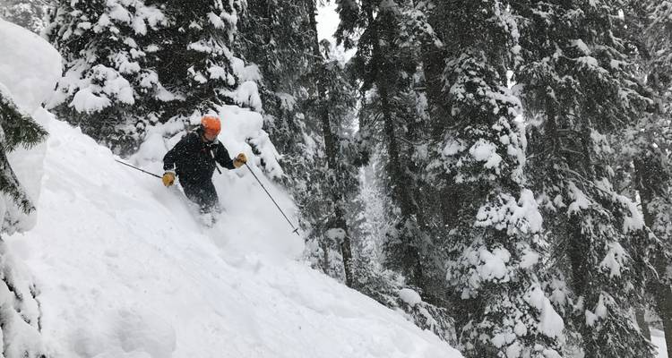 Un skieur trace sa trajectoire dans la poudreuse profonde d'une pente raide couverte de neige en forêt.