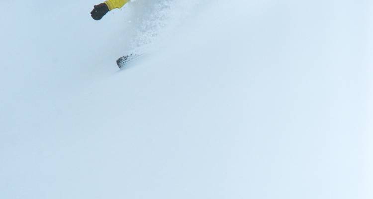 Photographie épurée d'un bras de skieur et de l'extrémité du ski traversant un voile de neige fraîche.