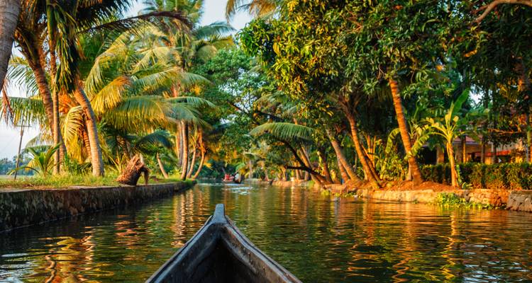Vista desde una canoa que se desliza por un estrecho canal bordeado de palmeras bañado en luz dorada.