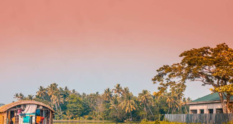 Escena de remanso con cielo naranja pastel, palmeras a lo lejos y una casa flotante en el horizonte.