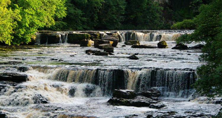 Multi-tiered woodland waterfalls cascading over dark rock at Aysgarth.