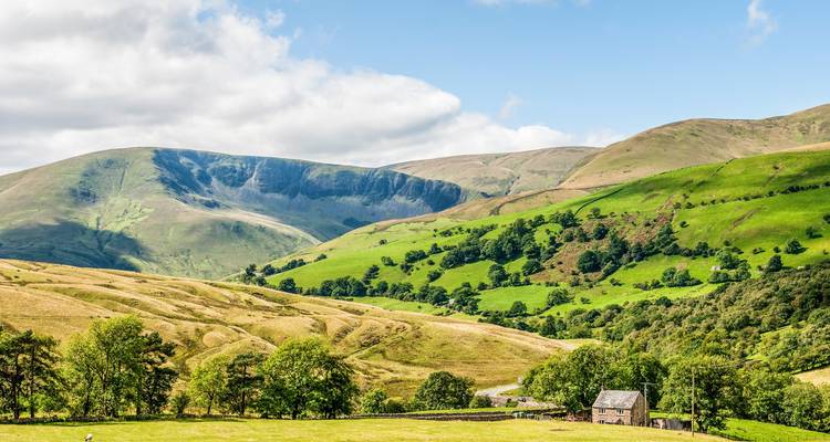 Sunny rural landscape of rolling green hills and patchwork pastures in summer.