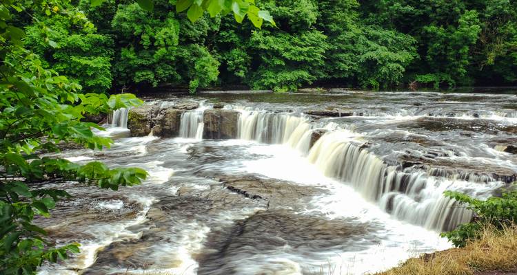 Lush forest waterfall with silky flowing water framed by green foliage.