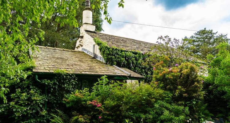 Quaint stone cottage draped in climbing vines and surrounded by colorful garden flowers under a bright sky.