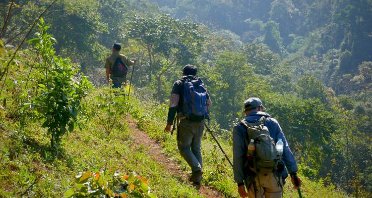 Three trekkers ascending a narrow dirt trail on a sunny forested mountainside.
