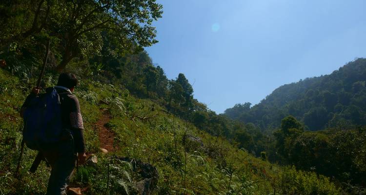 Lone hiker climbing a grassy hillside toward distant forested peaks under a clear blue sky.