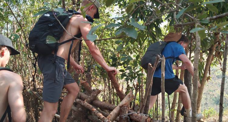 Des randonneurs torse nu escaladent un obstacle de tronc rugueux sur un sentier de jungle.