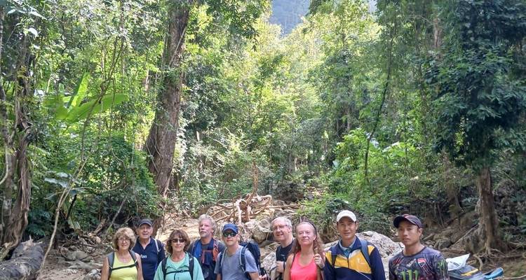 Hiking party stands in a shady jungle clearing surrounded by thick foliage and tall trees.