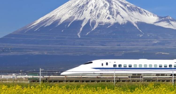 Ein eleganter Shinkansen rast an blühenden gelben Feldern vorbei, während der schneebedeckte Berg Fuji dahinter aufragt.