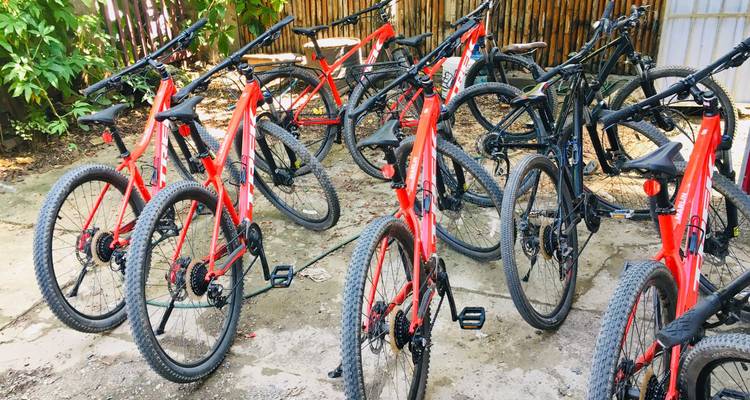 Row of red and black mountain bikes parked on a concrete yard ready for hire.