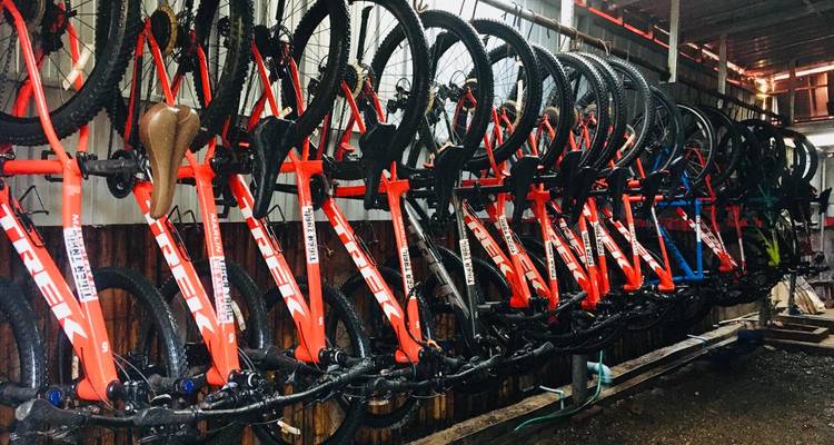 Dozens of red mountain bikes hang vertically in a storage rack inside a workshop.