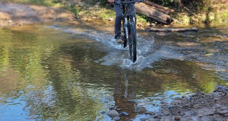 La roue d'un vélo de montagne éclabosse un ruisseau peu profond de la forêt, projetant de l'eau dans tous les sens.