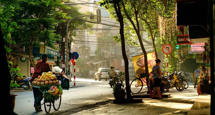 Morning light streams through leafy trees onto a Hanoi street as vendors wheel fruit carts and cyclists pass by.