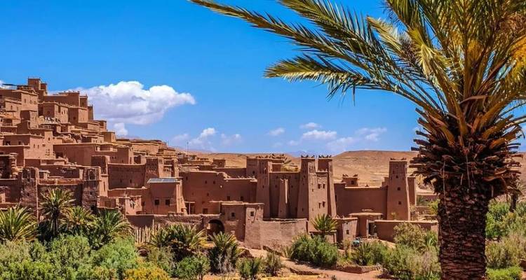 Historische adobe kasbah-gebouwen van Aït Benhaddou omlijst door een palmboom onder een stralend blauwe hemel