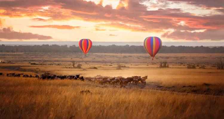 Los globos aerostáticos flotan sobre una sabana dorada al amanecer mientras una manada de ñus migra debajo.