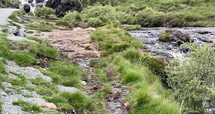 Vue rapprochée d'un sentier rocailleux longeant un petit ruisseau en cascade dans un terrain herbeux.