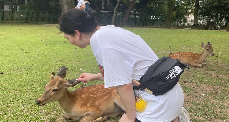 Young woman kneels to gently touch a friendly deer in a grassy park clearing.