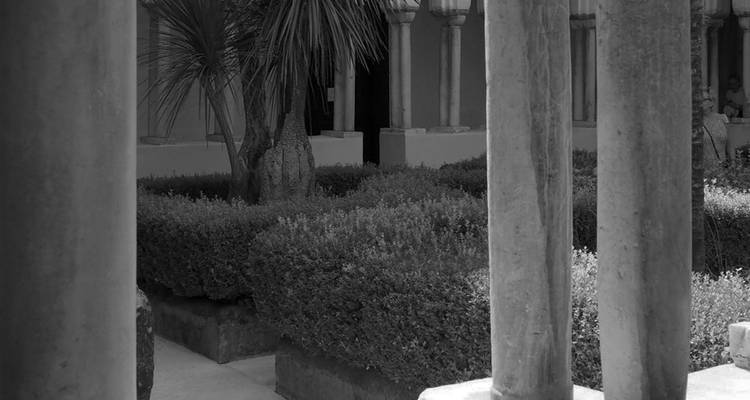 Monochromatische Aussicht durch Kreuzgangssäulen auf gestutzte Hecken und einen Palmbaum in einem Innenhof.