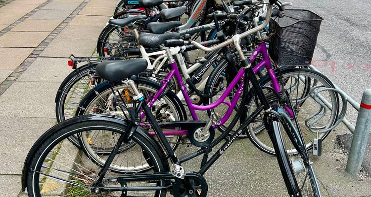 Rij met geparkeerde fietsen opgesteld langs het stadsstraatwerk.