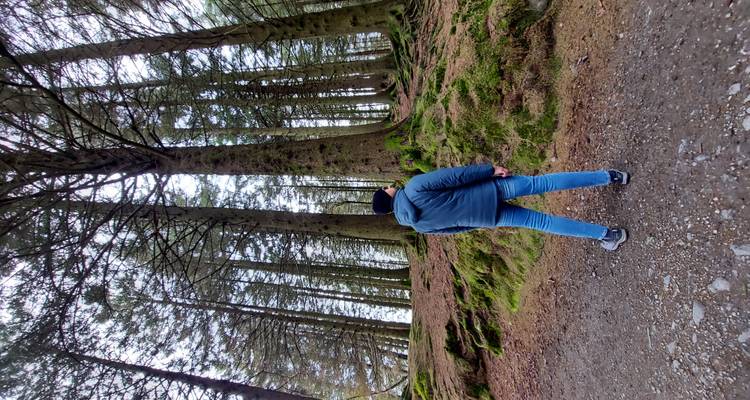 Hiker stands on forest path among tall moss-covered pine trees.