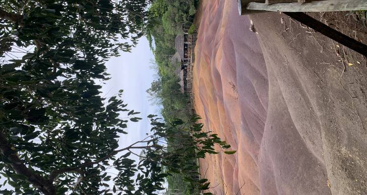 Multi-coloured sand dunes of the Seven Coloured Earth surrounded by forest, viewed through overhanging branches.