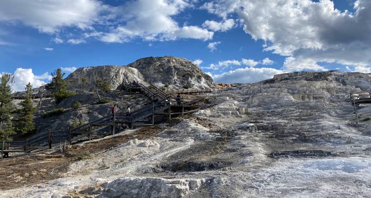 Terrassenförmige weiße Mineralablagerungen der Mammoth Hot Springs mit hölzernen Gehwegen und Besuchern unter einem strahlend blauen Himmel.