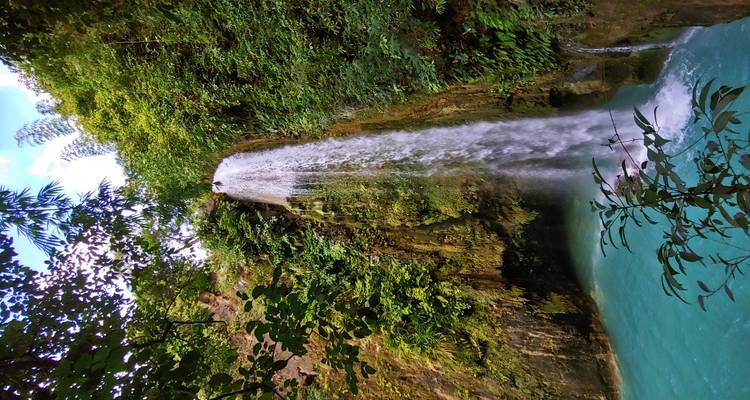 Jungle waterfall pouring into a bright turquoise basin framed by leafy vegetation.