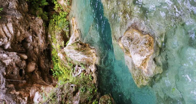 Clear emerald rock pool beneath a limestone overhang and ferns.