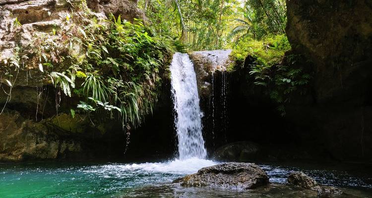 Small waterfall in a shaded grotto plunging into a green pool.