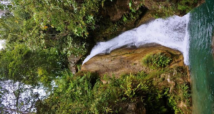 Slanted cascade over rock wall into clear pool surrounded by jungle plants.