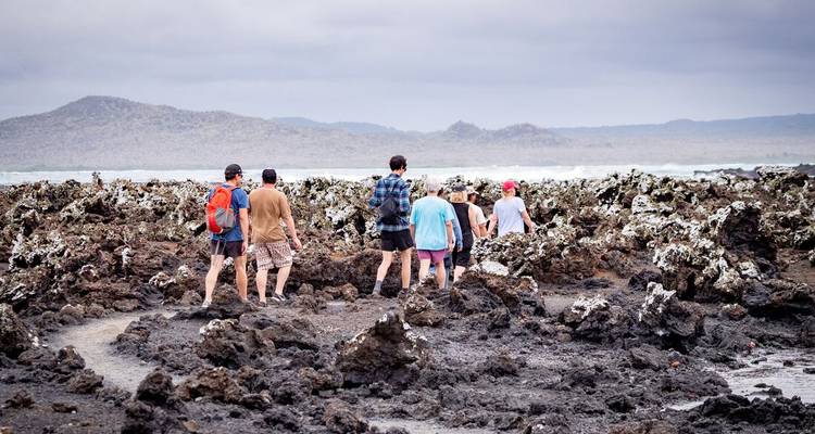 Des treks en petits groupes à travers les champs de lave noire accidentés le long du littoral des Galapagos.