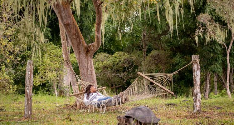 Le voyageur se détend dans un hamac sous des arbres couverts de mousse tandis qu'une tortue géante broute à proximité.