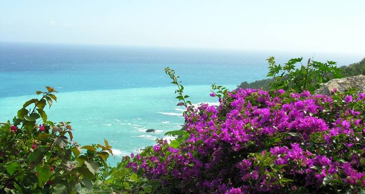 Vibrant purple bougainvillea framing a high coastal cliff view over bright turquoise sea and open horizon.