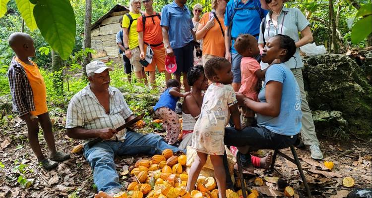 Travelers and local farmers gathered in a cacao plantation, children playing among freshly split cacao pods.