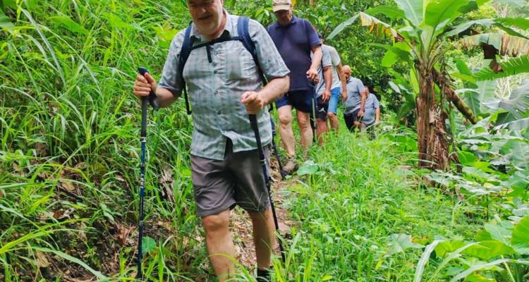 Line of hikers with poles walking a narrow, lush jungle trail surrounded by tall grass and banana trees.