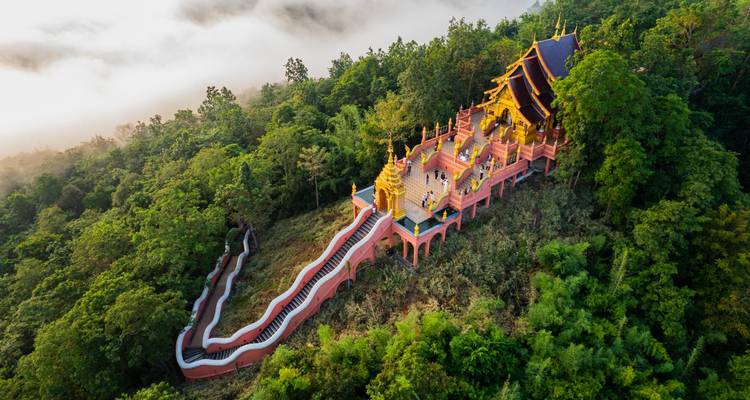Temple au sommet d'une colline entouré d'une jungle brumeuse avec un long escalier sinueux montant à travers une forêt verte et dense.