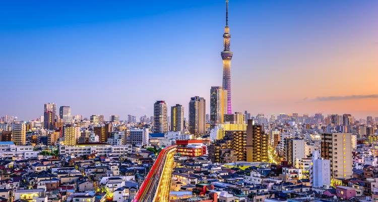 Tokyo skyline at dusk featuring illuminated Skytree and city lights.