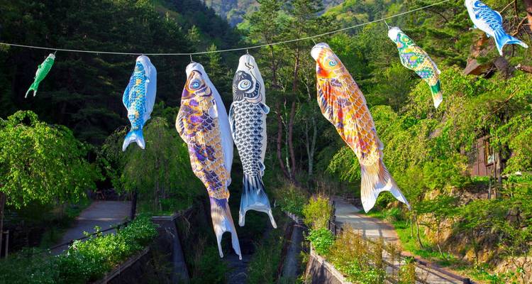 Colorful koinobori carp streamers hanging above a forested mountain path.