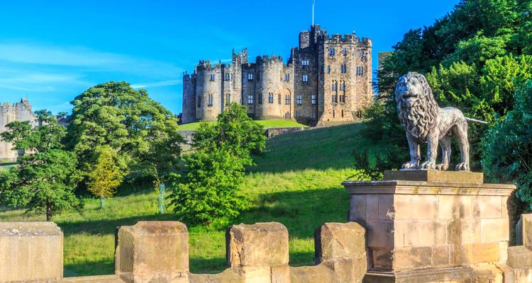 Groen heuvelig landschap van Alnwick Castle omlijst door bomen met een stenen leeuwnbeeld op de voorgrond.